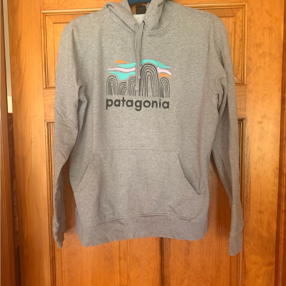 Patagonia Gray Hoodie with Colorful Logo